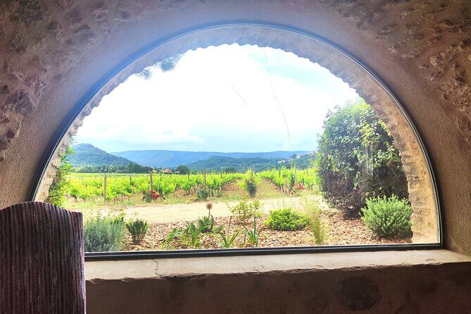 Chateauneuf du Pape and Luberon vineyard tour from Avignon - Who Is This Tour Best For?