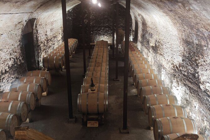 Chateauneuf du Pape and Luberon vineyard tour from Avignon - The Sum Up