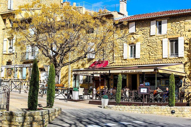 Châteauneuf Du Pape intensive vineyard & fine wine experience - Considerations and Potential Drawbacks