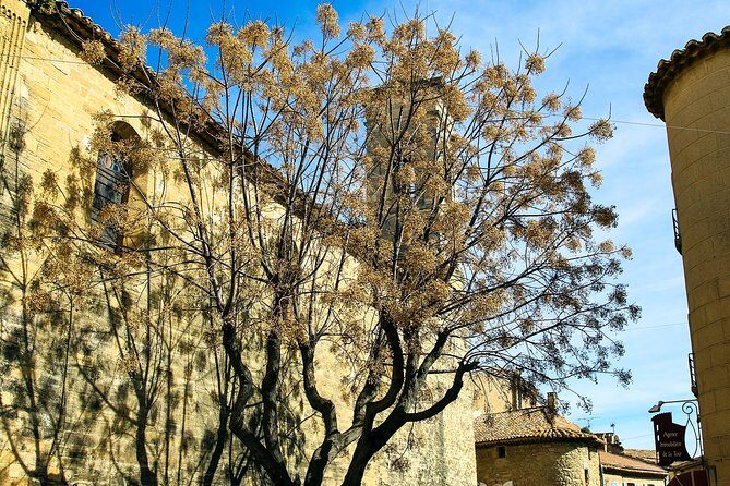 Châteauneuf Du Pape intensive vineyard & fine wine experience - Final Thoughts