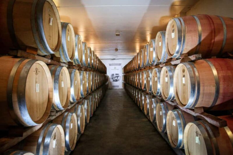 Châteauneuf du Pape: Sensory wine adventure with a game & gourmet meal - Key Points