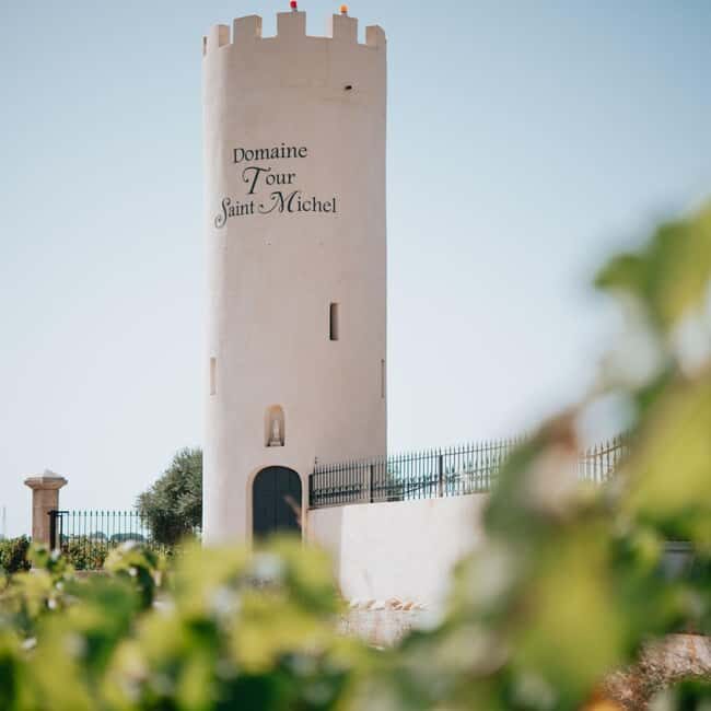 Châteauneuf-du-Pape: tour/tasting in the heart of Domaine Tour St Michel - The Wine Tasting: A Chance to Savor and Learn