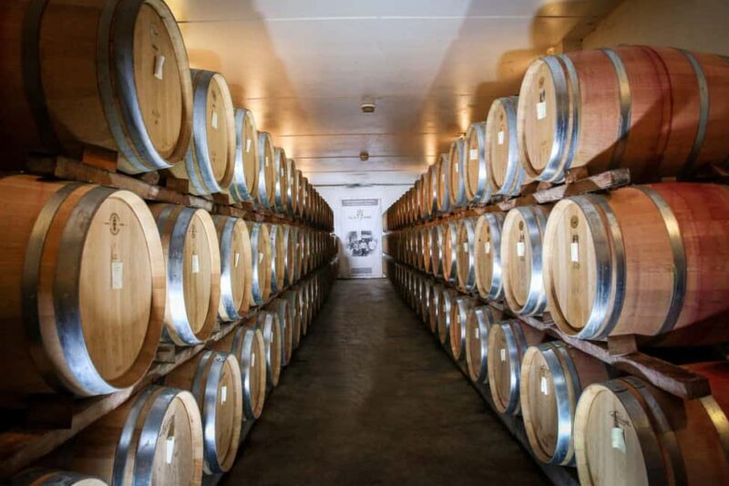 Châteauneuf du Pape: Visit the Alain Jaume vineyards and enjoy a gourmet meal - Who Should Consider This Tour?