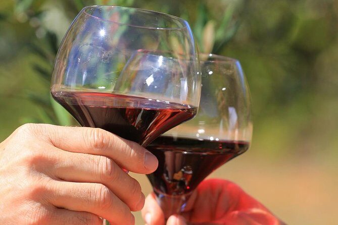 Châteauneuf du Pape Wine Day Tasting Tour including Lunch from Avignon - A Scenic Journey through Provence’s Vineyards and Villages