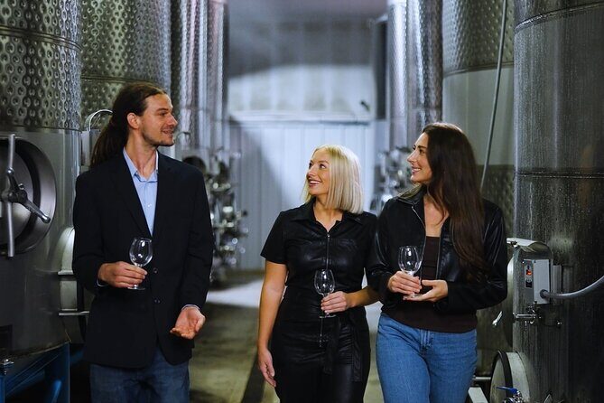 Chattanooga Wine Tasting with Art Sightseeing Tour - What’s in Store on the Chattanooga Wine and Art Tour?