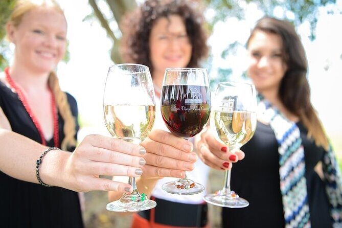 Chauffeured Adventure to Local San Diego Vineyards - Key Points