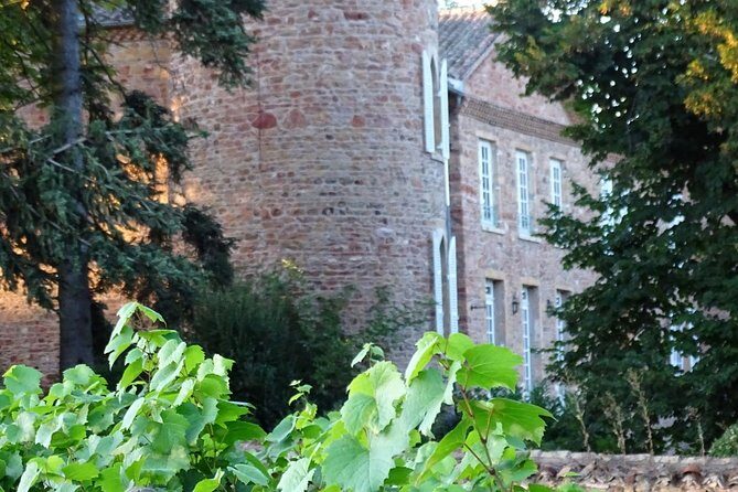 Cheese and Wine Accord Tour at Château de Champ-Renard - Final Thoughts