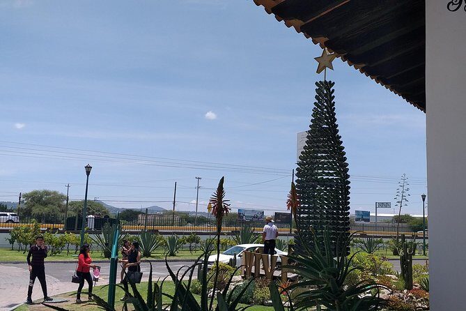 Cheese and Wine Route, Private Tour from Mexico City - Who Should Consider This Tour?