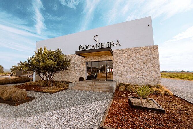 Cheese and Wine Route Tour with starting from Querétaro - Key Points