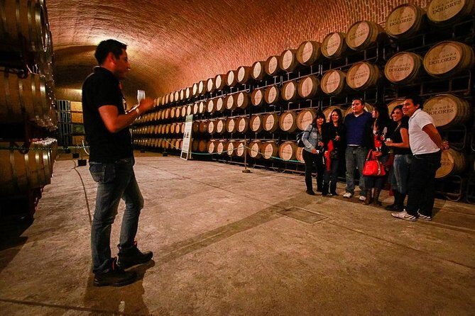 Cheese and Wine Route Tour with starting from Querétaro - Pricing and Value