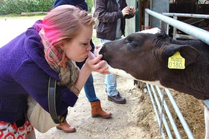 Cheese, Canals & Windmill Countryside E-Bike Tour Amsterdam - Who Will Love This Tour?