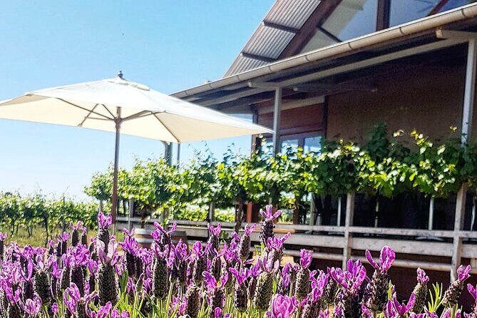 Cheese + Chill - Exploring the Yarran Wines Cheese + Chill Tour