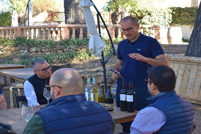 Cheese Factory Workshop with Wine Tasting in Requena, Valencia - The Sum Up