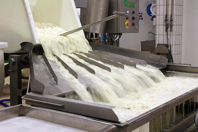 Cheesemaker for a day & visit to the dairy - Key Points