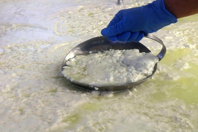 Cheesemaker for a day & visit to the dairy - FAQ