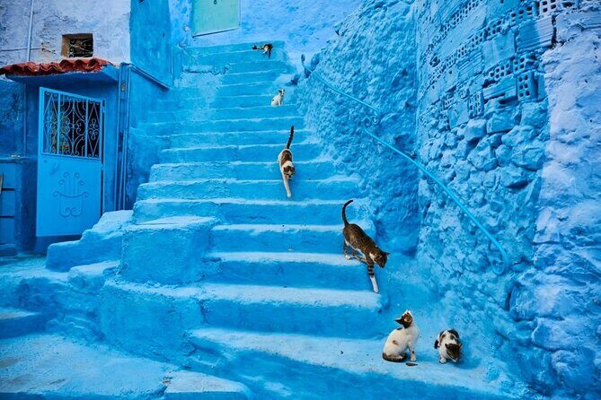 Chefchaouen Day Trip from Seville - What Travelers Will Love