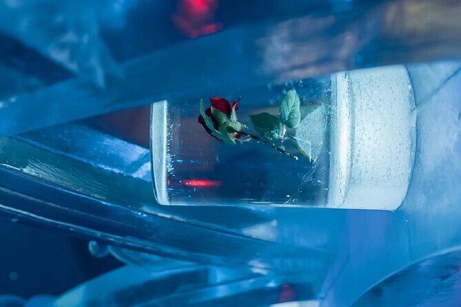 Chena Hot Spring Day Tour - What You Can Expect from the Chena Hot Spring Day Tour