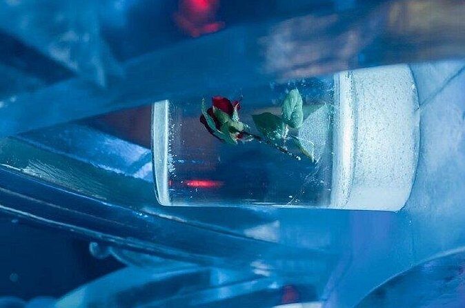 Chena Hot Spring Day Tour - Final Thoughts