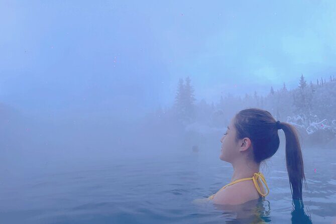 Chena Hot Spring Day Trip - Who Is This Tour Best For?