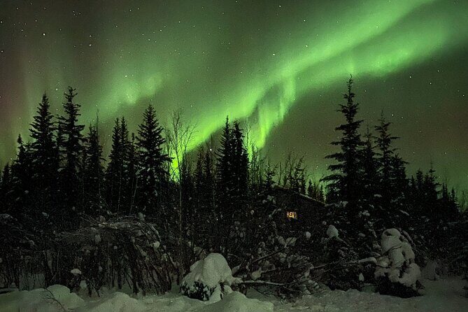 Chena Hot Springs Northern Lights Aurora Borealis From Fairbanks - Key Points