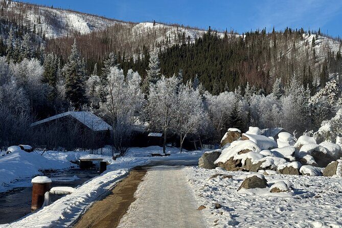 Chena Hot Springs Small Group Tour - Who Should Consider This Tour?