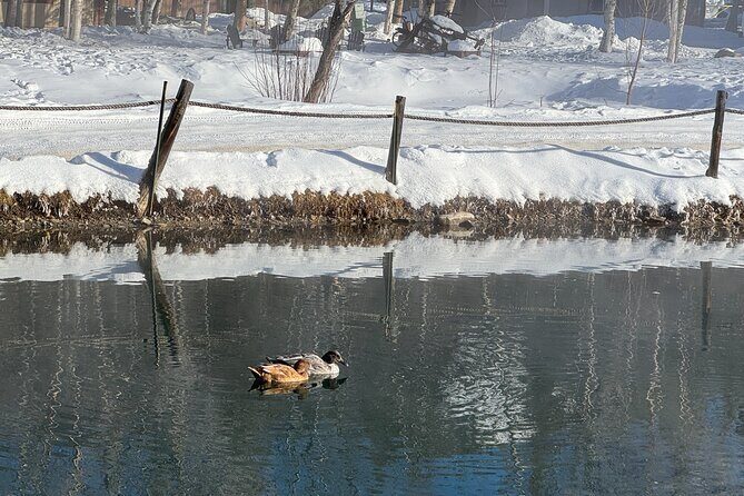 Chena Hot Springs Small Group Tour - FAQ