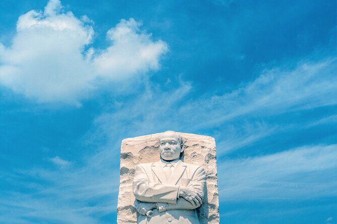 Cherry Blossoms, City Tour, Seasonal Cruise, Optional Tickets - Who Would Enjoy This Tour?