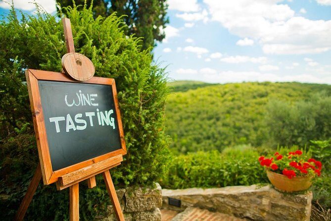 Chianti and Castle Small Group Tour from San Gimignano - A Closer Look at the Tour Experience