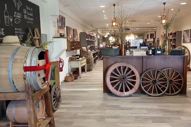 Chianti and Castles Tour from San Gimignano Small Group - Final Thoughts