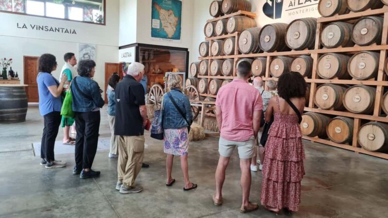 Chianti and Castles Tour From San Gimignano - Key Points