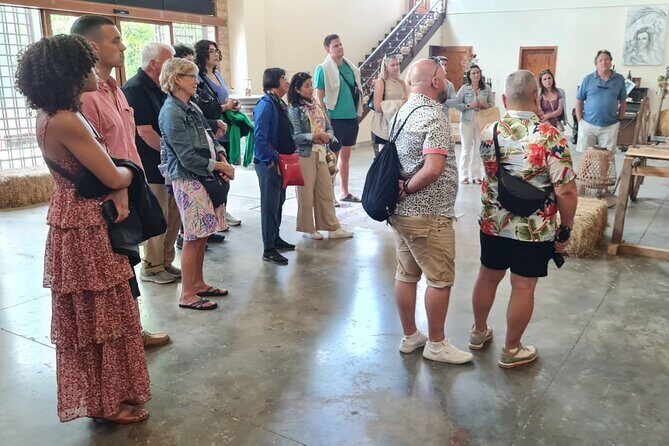 Chianti and Castles Tour from Siena Small Group - Who Should Consider This Tour?