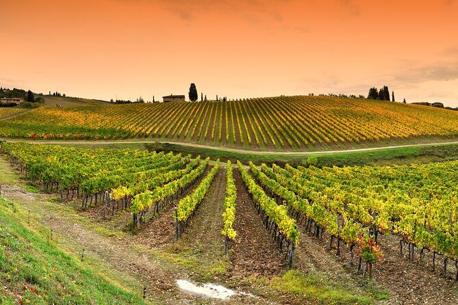 Chianti and Castles Tour from Siena Small Group - FAQ