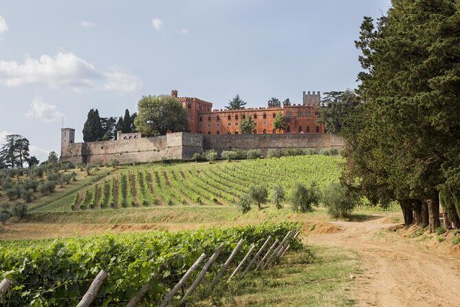 Chianti Classico E-Bike Tour - Discover the Charm of the Chianti Classico E-Bike Tour