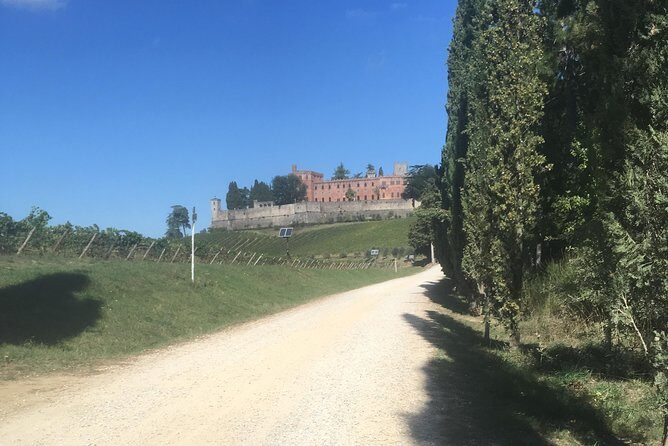 Chianti Classico E-Bike Tour - Why This Tour Is Worth Considering