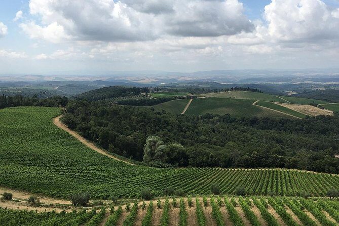 Chianti Classico E-Bike Tour - Practical Considerations