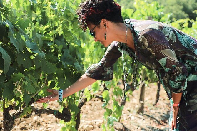 Chianti Classico, Montalcino, Montepulciano by minivan: Wine Tastings & Lunch - Who Should Consider This Tour?