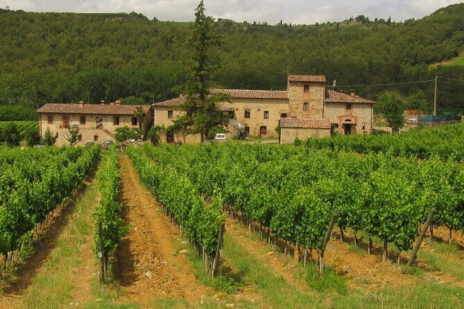 Chianti Day trip from Florence - A Genuine Look at the Chianti Day Trip from Florence