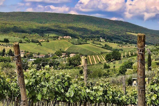 Chianti: eno-excursion through the vineyards - FAQ