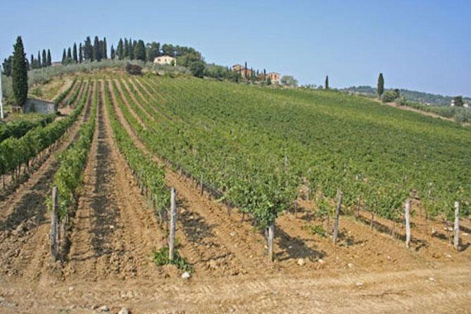 Chianti Experience Shore Excursion from Livorno Port - The Journey Through Tuscany: An In-Depth Look
