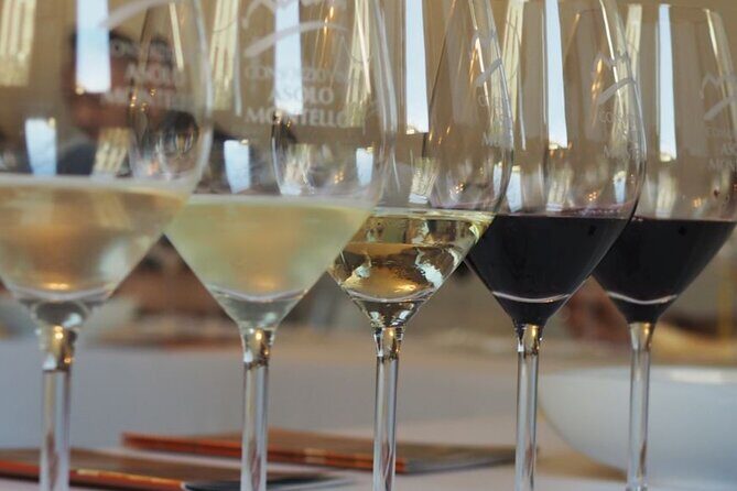 Chianti from Florence:PRIVATE Wine, Olive Oil Tasting in the Tuscan countryside - Analyzing the Cost and Value