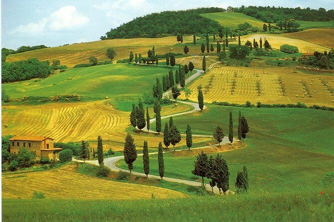 Chianti from Florence:PRIVATE Wine, Olive Oil Tasting in the Tuscan countryside - Who Would Love This Tour?