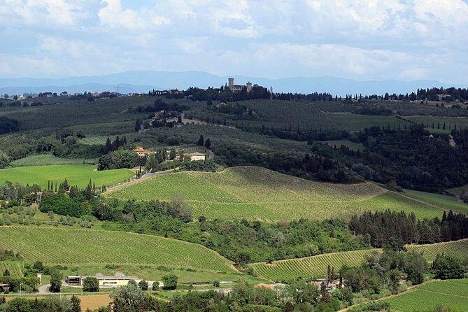 Chianti from Florence:PRIVATE Wine, Olive Oil Tasting in the Tuscan countryside - FAQ