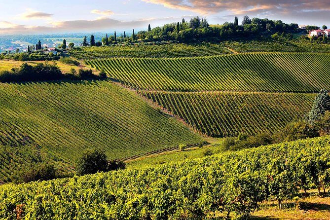 Chianti Half-day Wine Tour in the Tuscan's Hills from Pisa - FAQ
