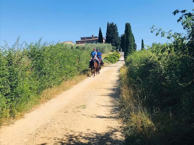 Chianti: Horseback Riding Tour through Vineyards - Key Points