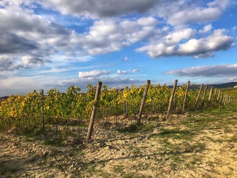 Chianti: Horseback Riding Tour through Vineyards - The Sum Up