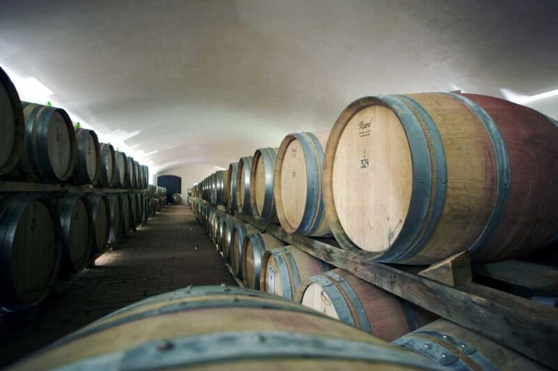 Chianti: Private Winery Tour and Wine Tasting - Key Points