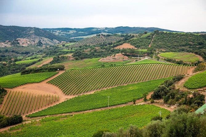 Chianti, San Gimignano and Siena Full Day Trip with Wine Tastings - Practical Details & Considerations