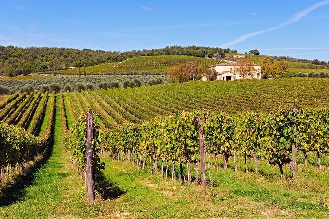 Chianti, SuperTuscan & San Gimignano - 2 wineries and light lunch - Final Thoughts: Is This Tour Right for You?