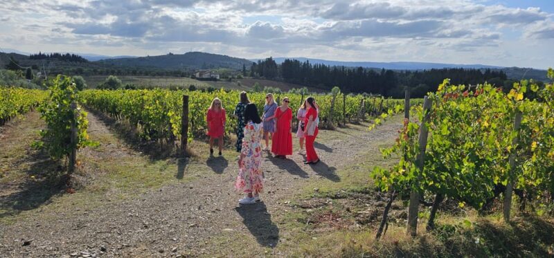 Chianti: Vineyard to Bottle Winery Visit with Tastings - Who Is This Tour Best For?