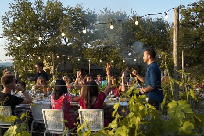 Chianti vineyards: Small-Group tour with wine tasting & Dinner - Who This Tour Is Perfect For